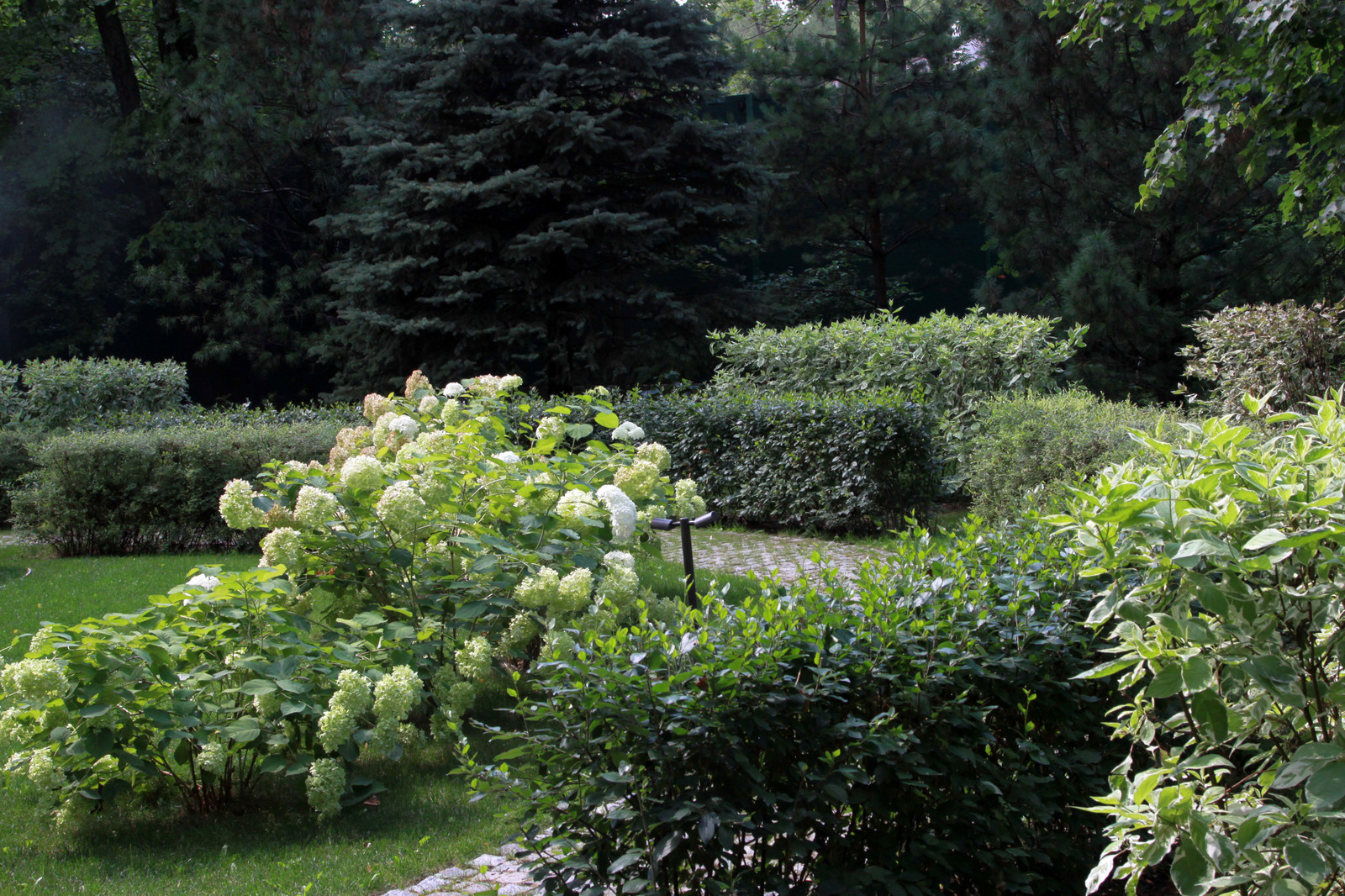 Зеленый амфитеатр