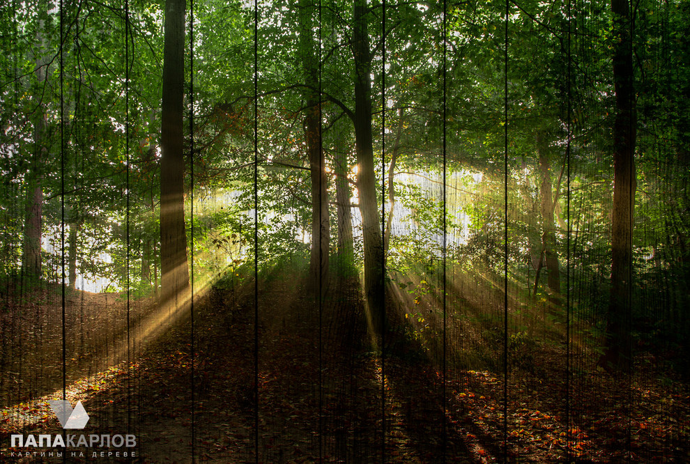 Авторские картины на деревянных досках