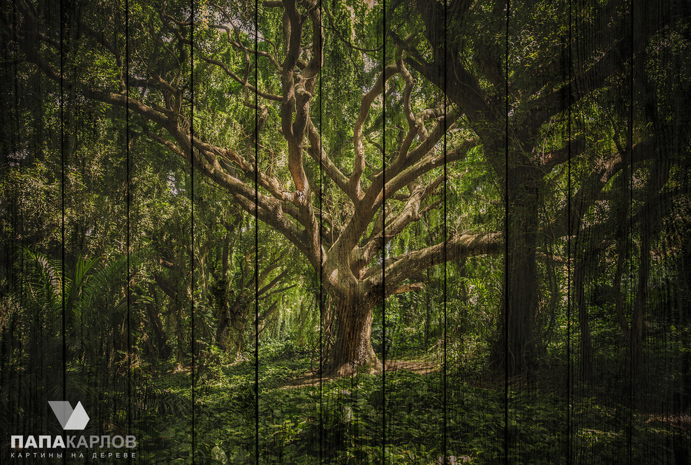 Авторские картины на деревянных досках