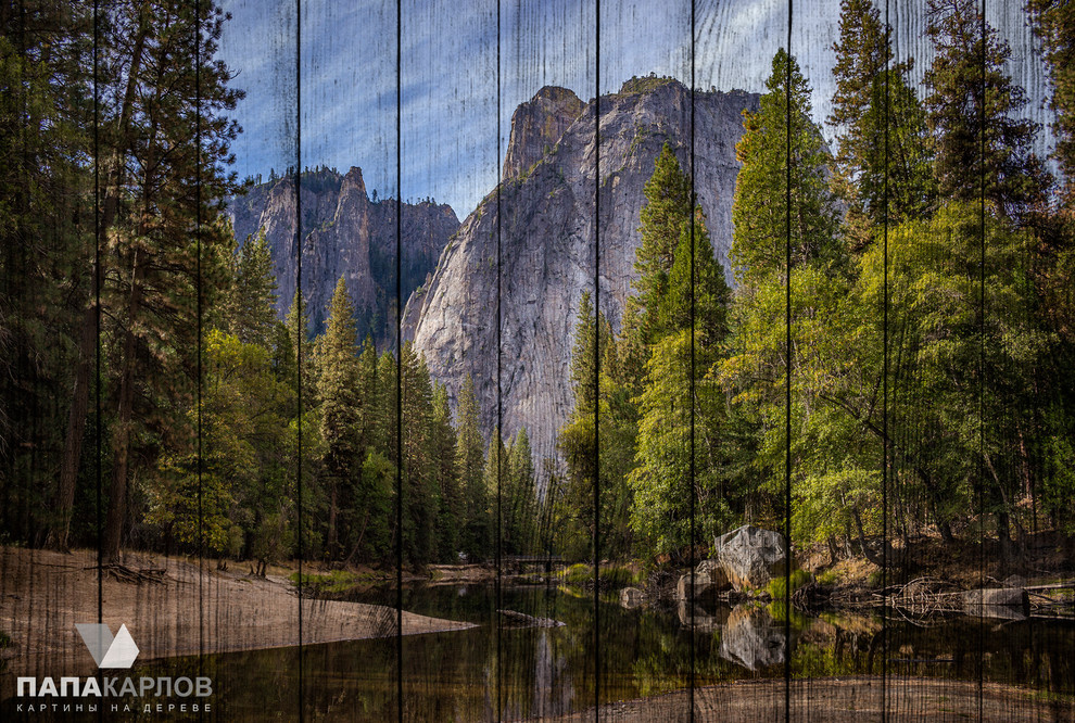 Авторские картины на деревянных досках