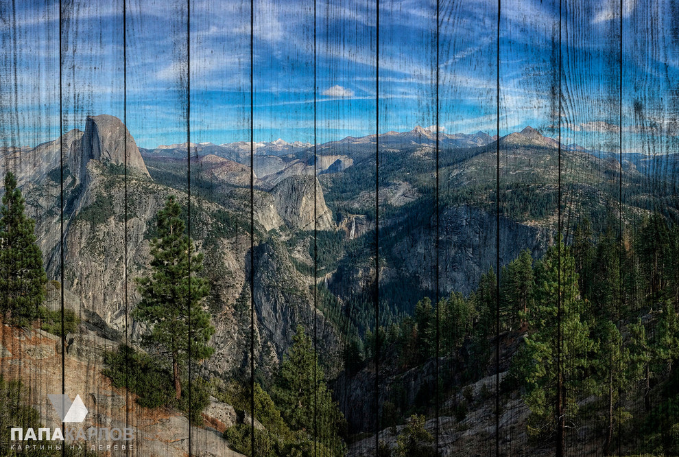 Авторские картины на деревянных досках