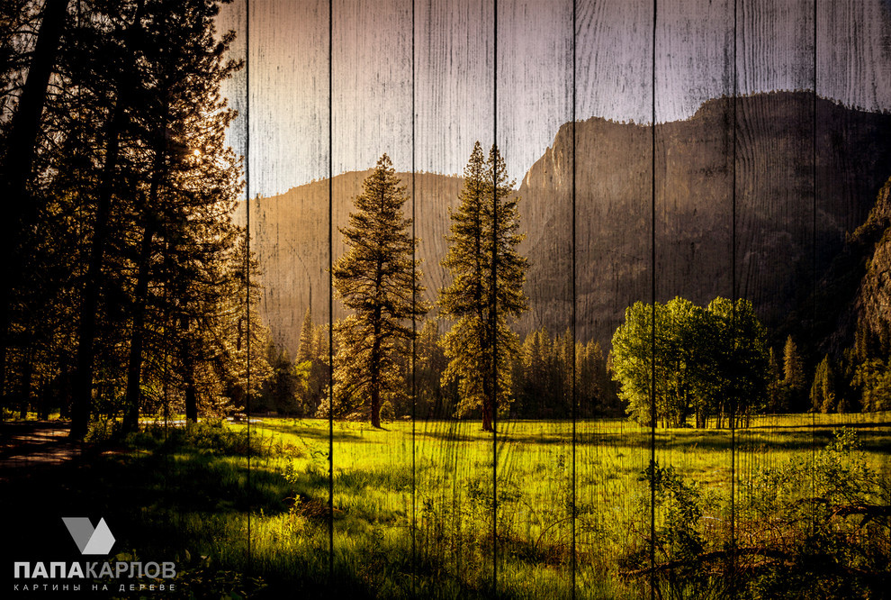 Авторские картины на деревянных досках