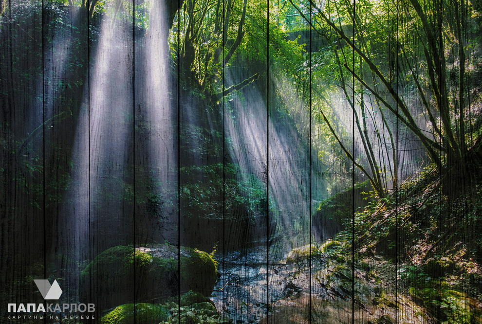 Авторские картины на деревянных досках