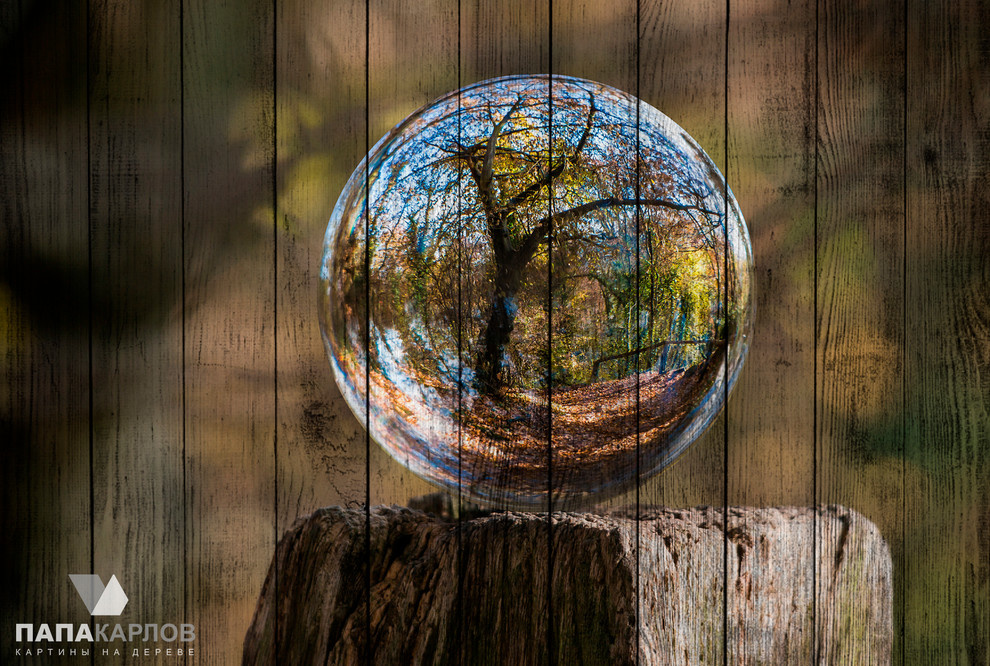 Авторские картины на деревянных досках