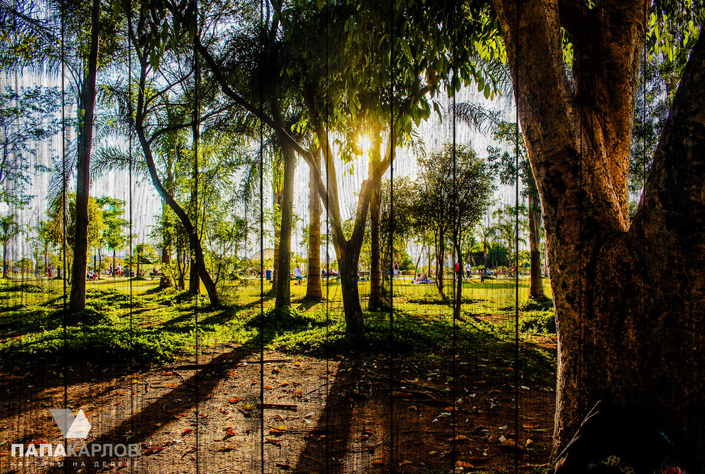 Авторские картины на деревянных досках