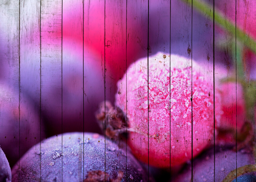 Авторские картины на деревянных досках