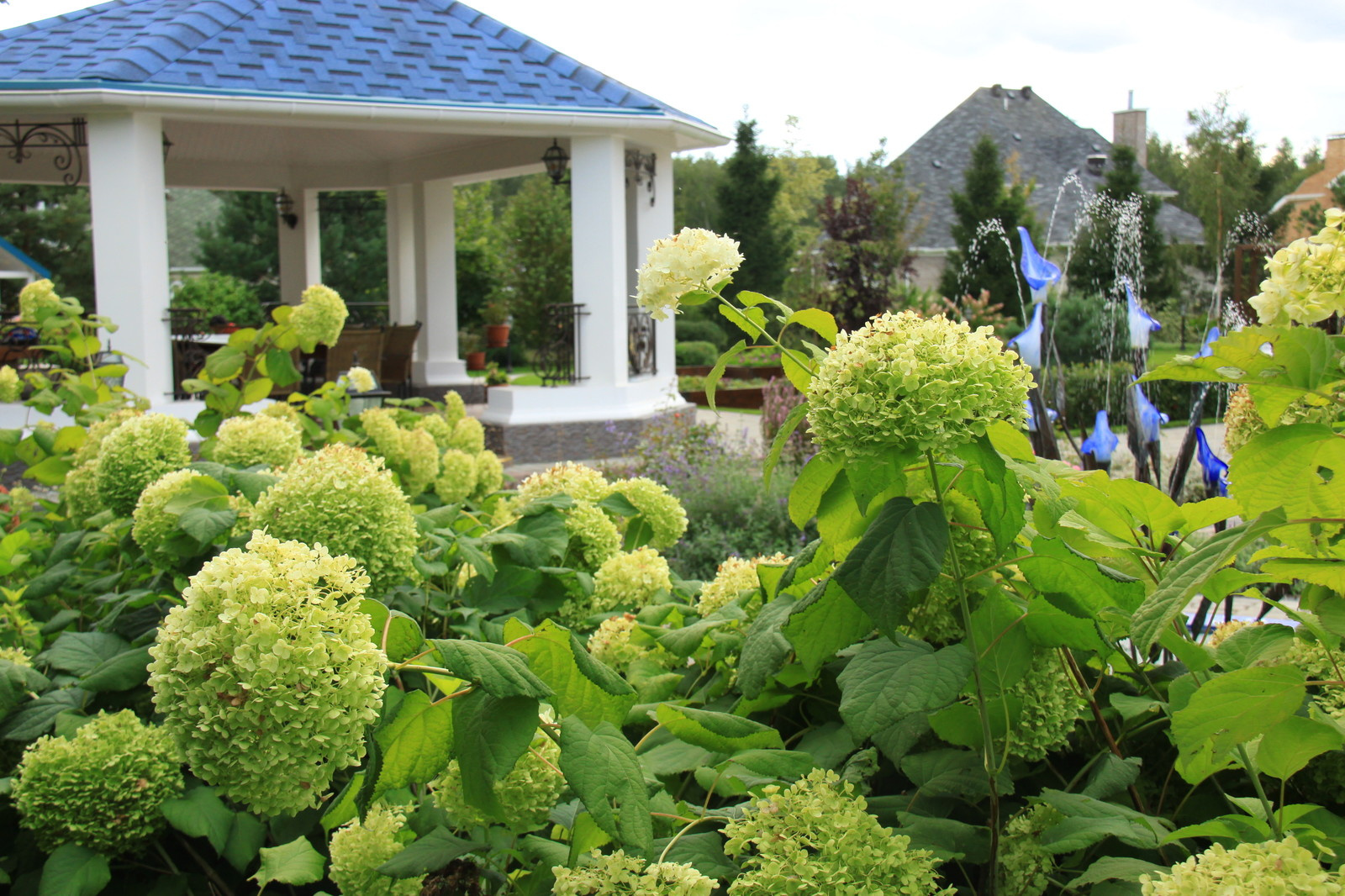 Коттеждный сад. Игры с цветом.