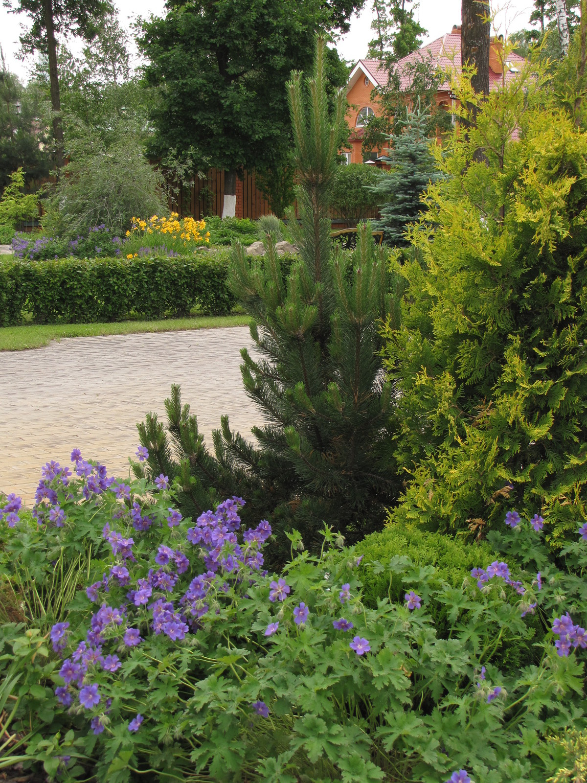 Сад сезонов в Вороново