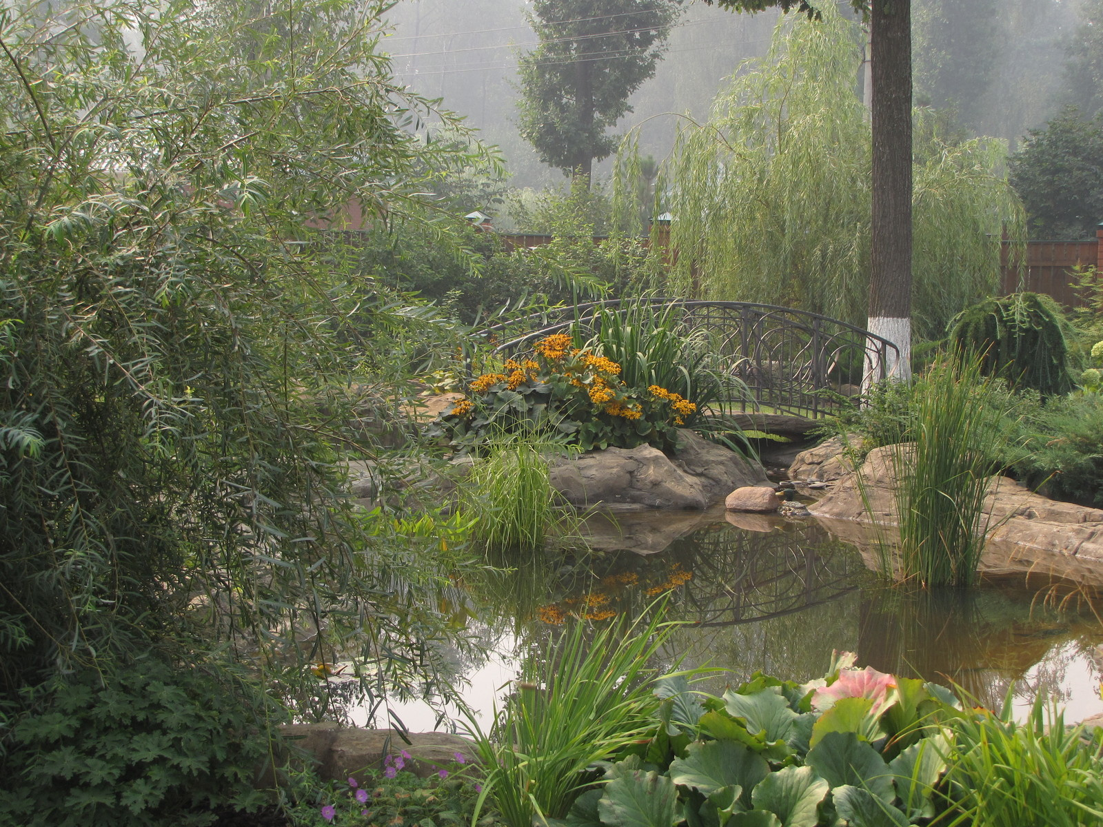 Сад сезонов. Декоративный водоем