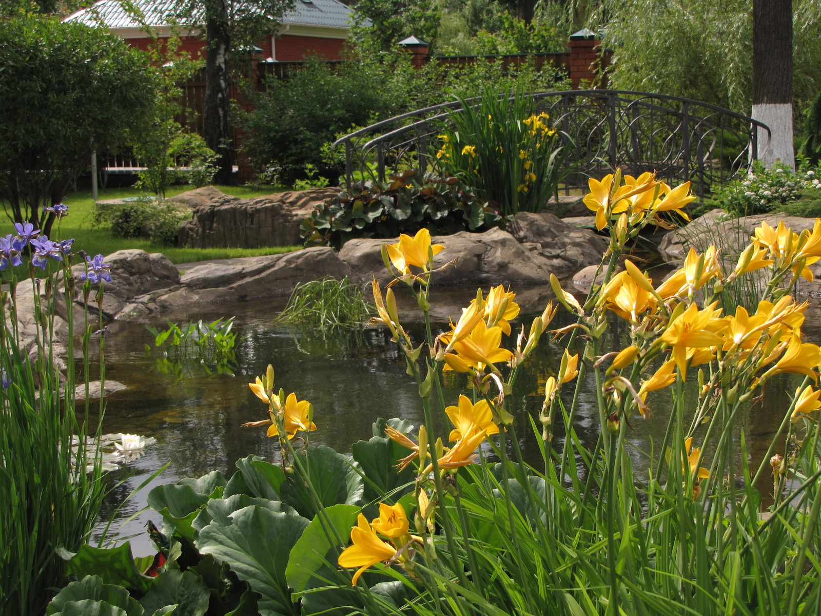 Сад сезонов в Вороново