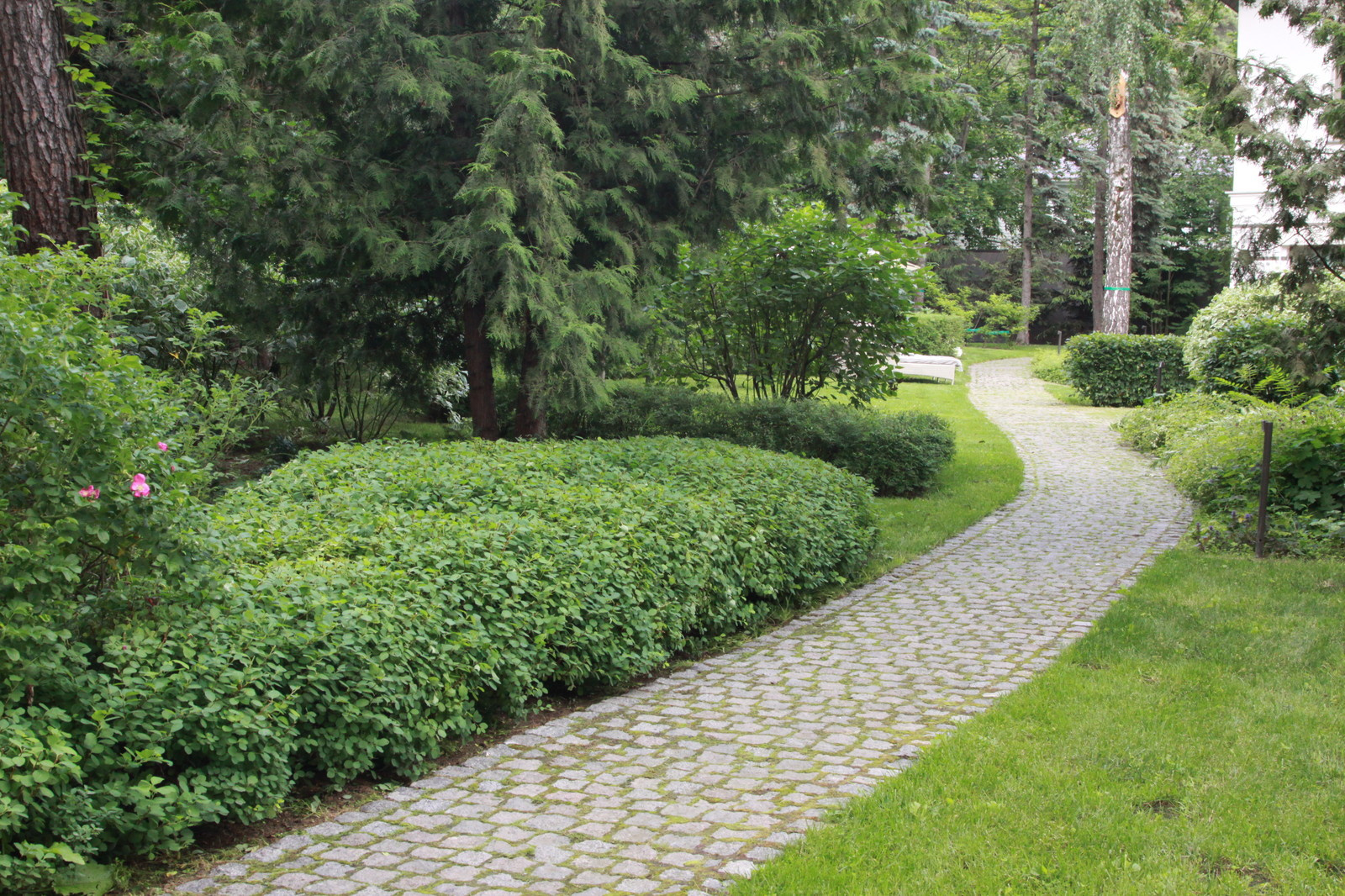 Сад в Серебрянном Бору