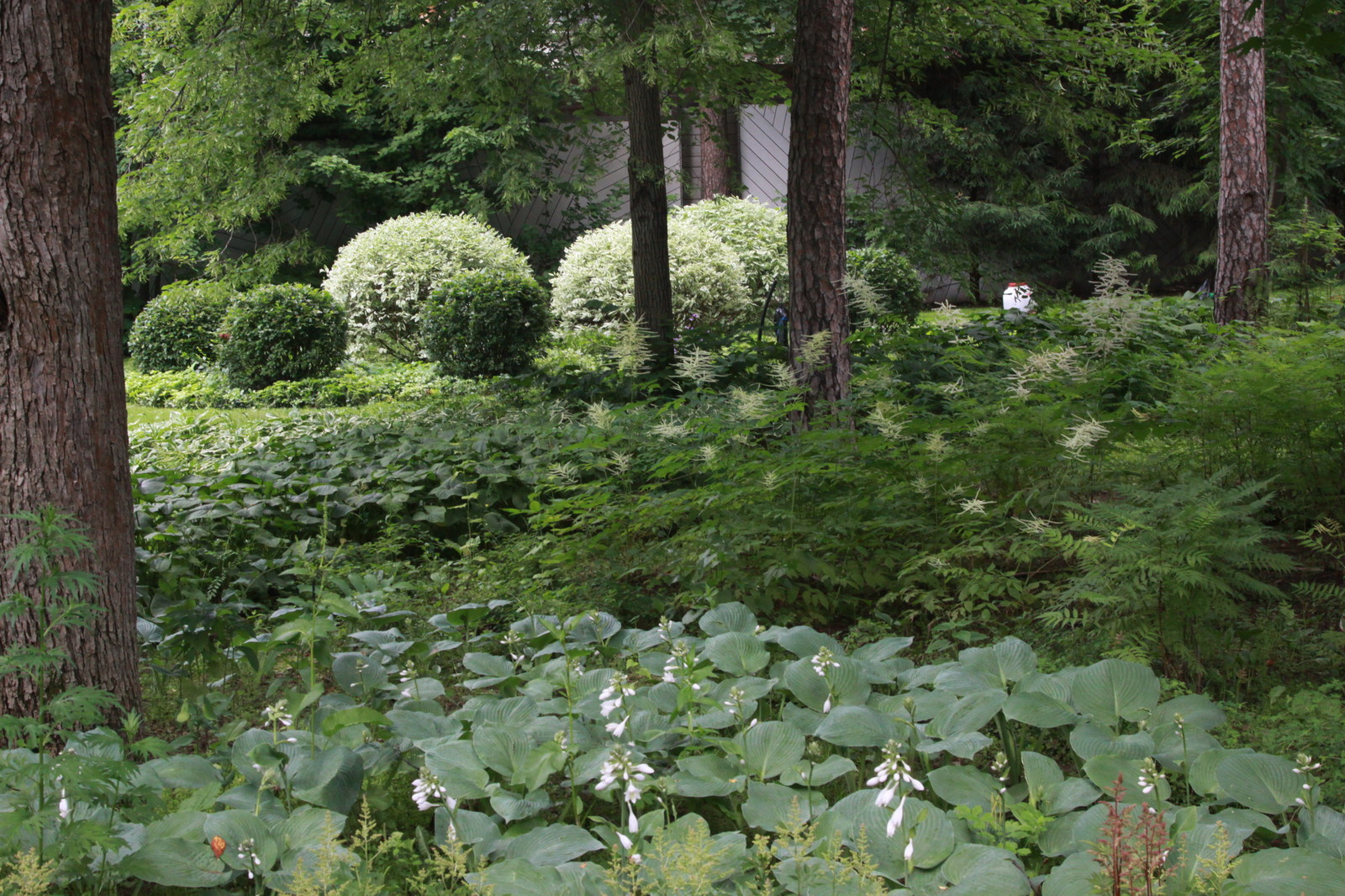 Сад в Серебрянном Бору