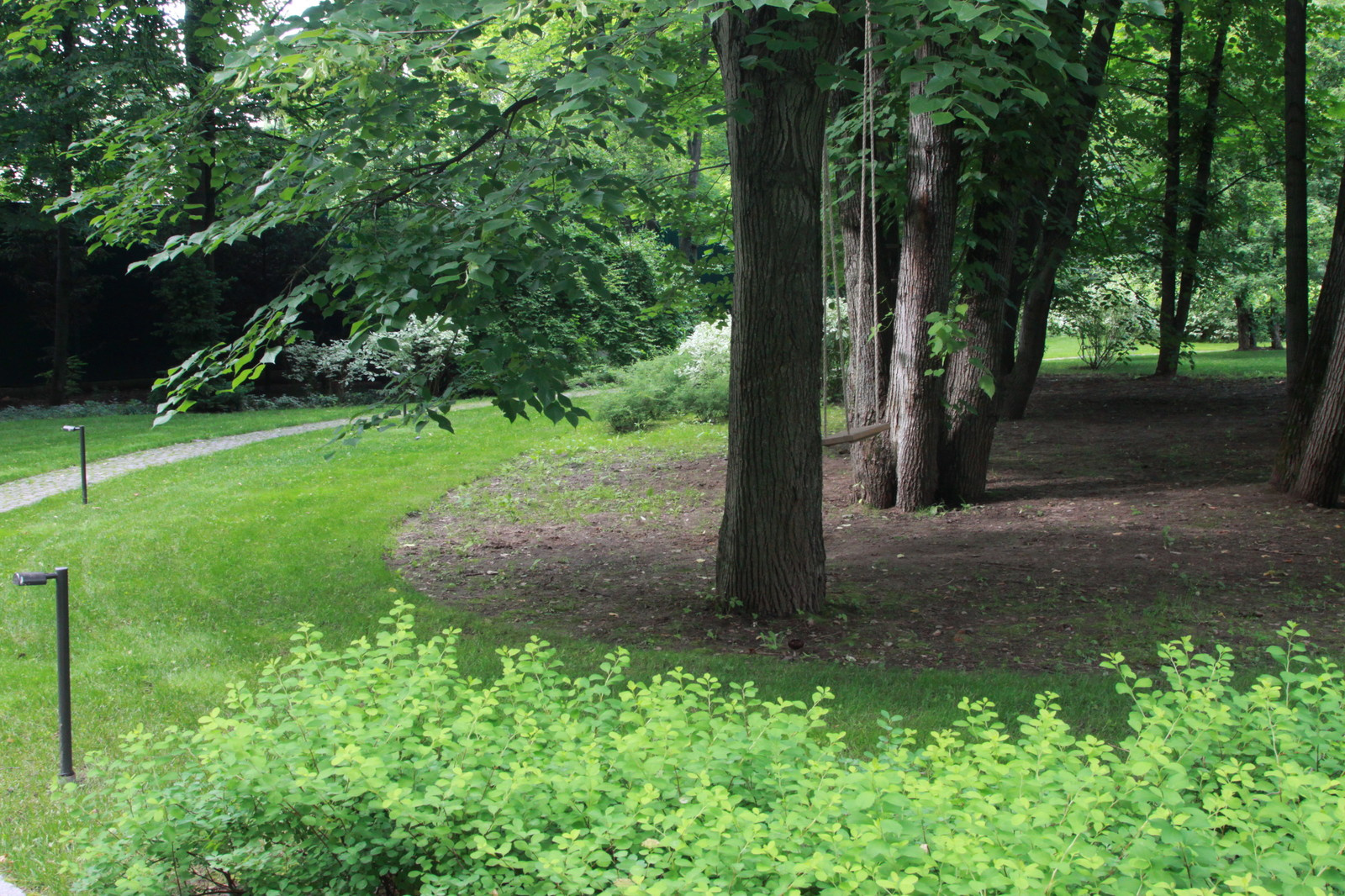 Сад в Серебрянном Бору