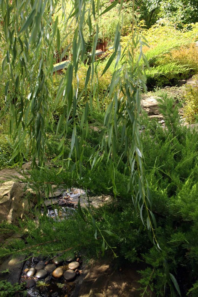 Сад сезонов в Вороново