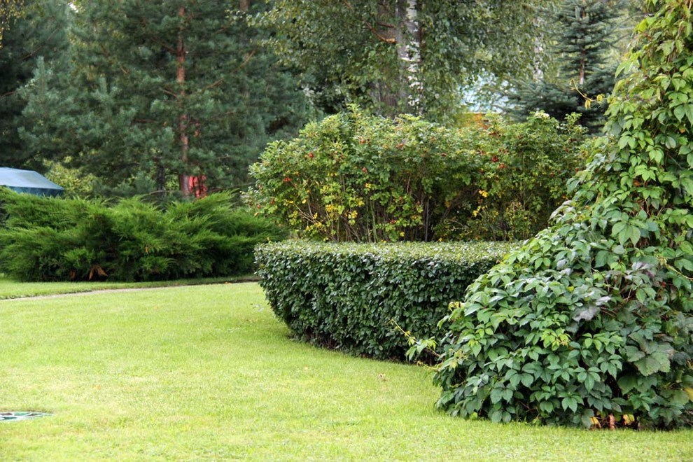 Сад сезонов в Вороново