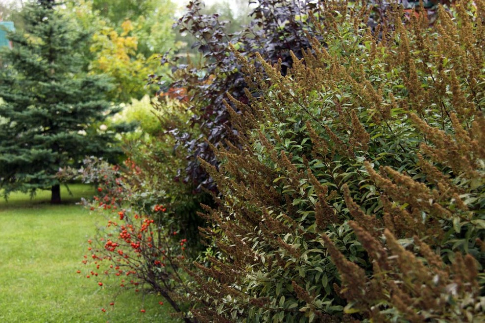 Сад сезонов в Вороново