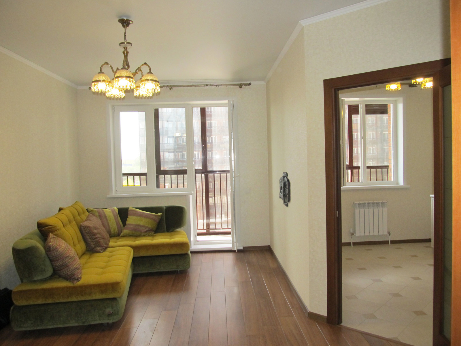 Стрижи на Снегирях