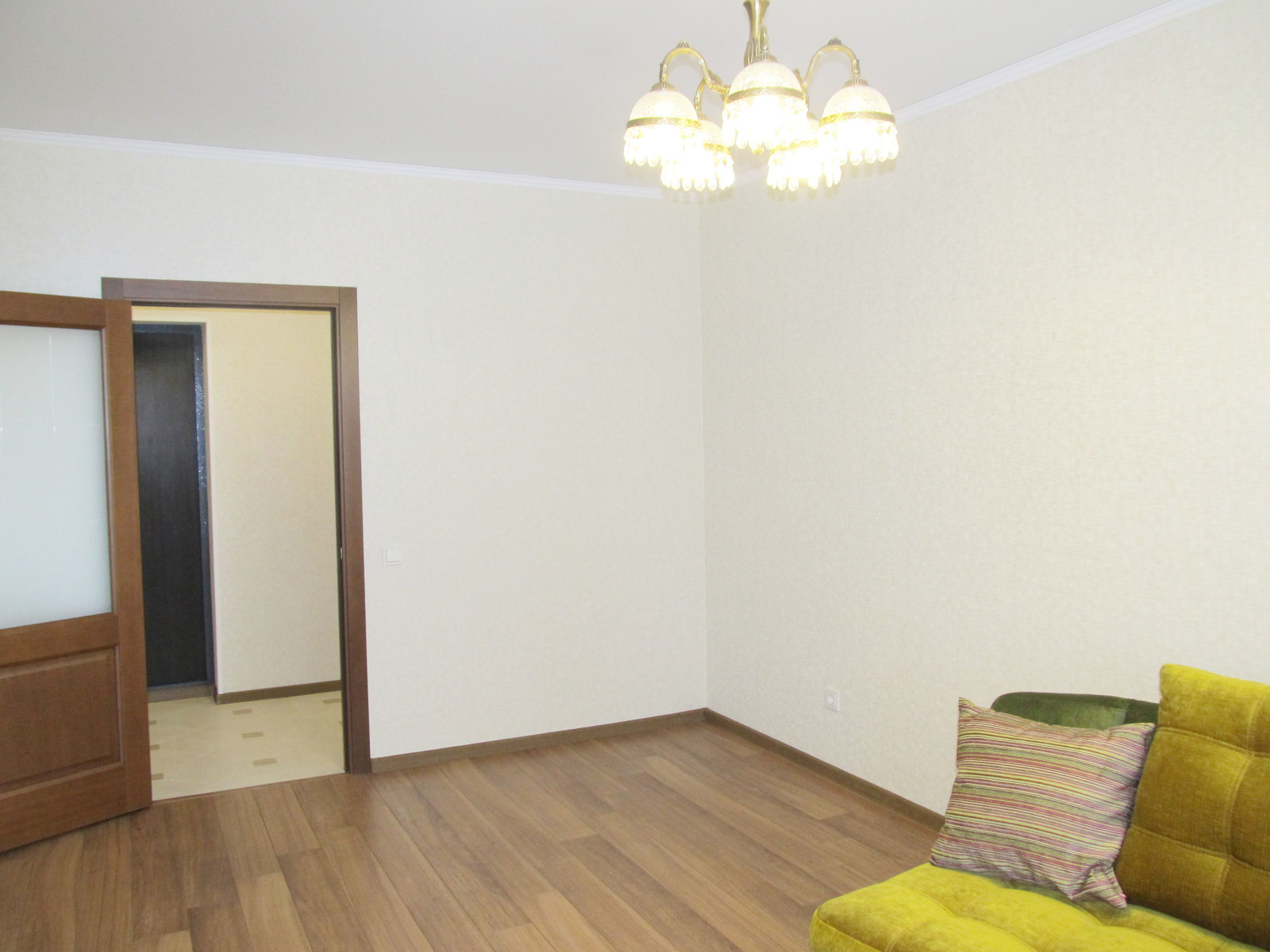 Стрижи на Снегирях