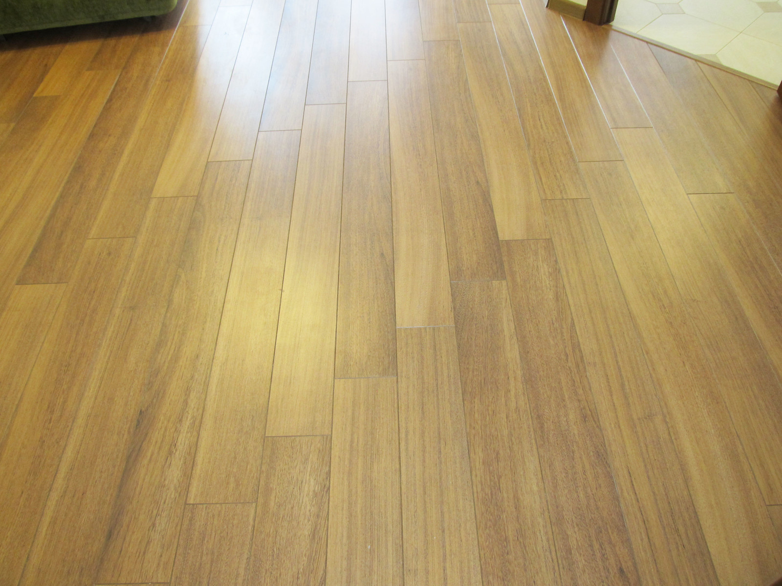 Стрижи на Снегирях