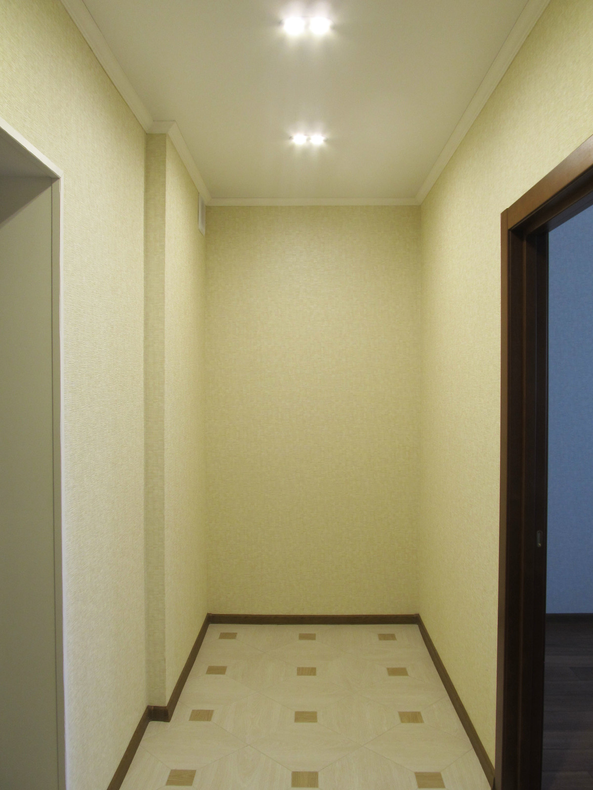 Стрижи на Снегирях