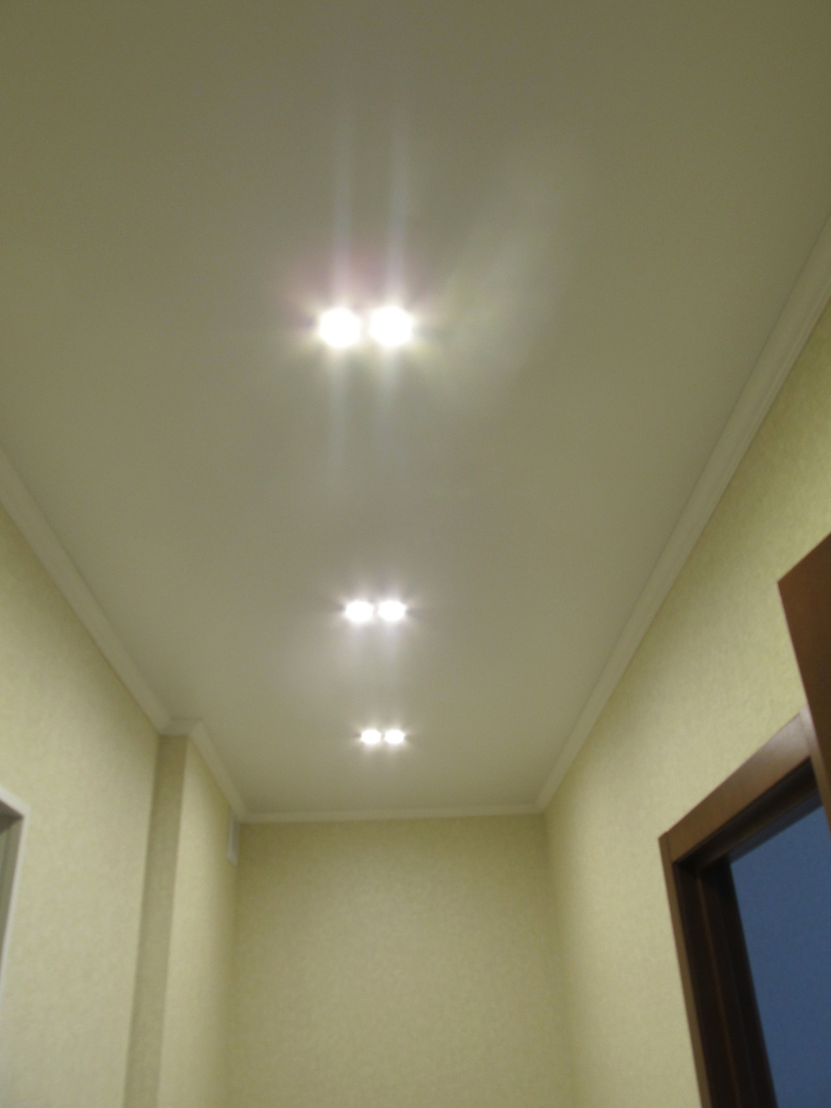 Стрижи на Снегирях