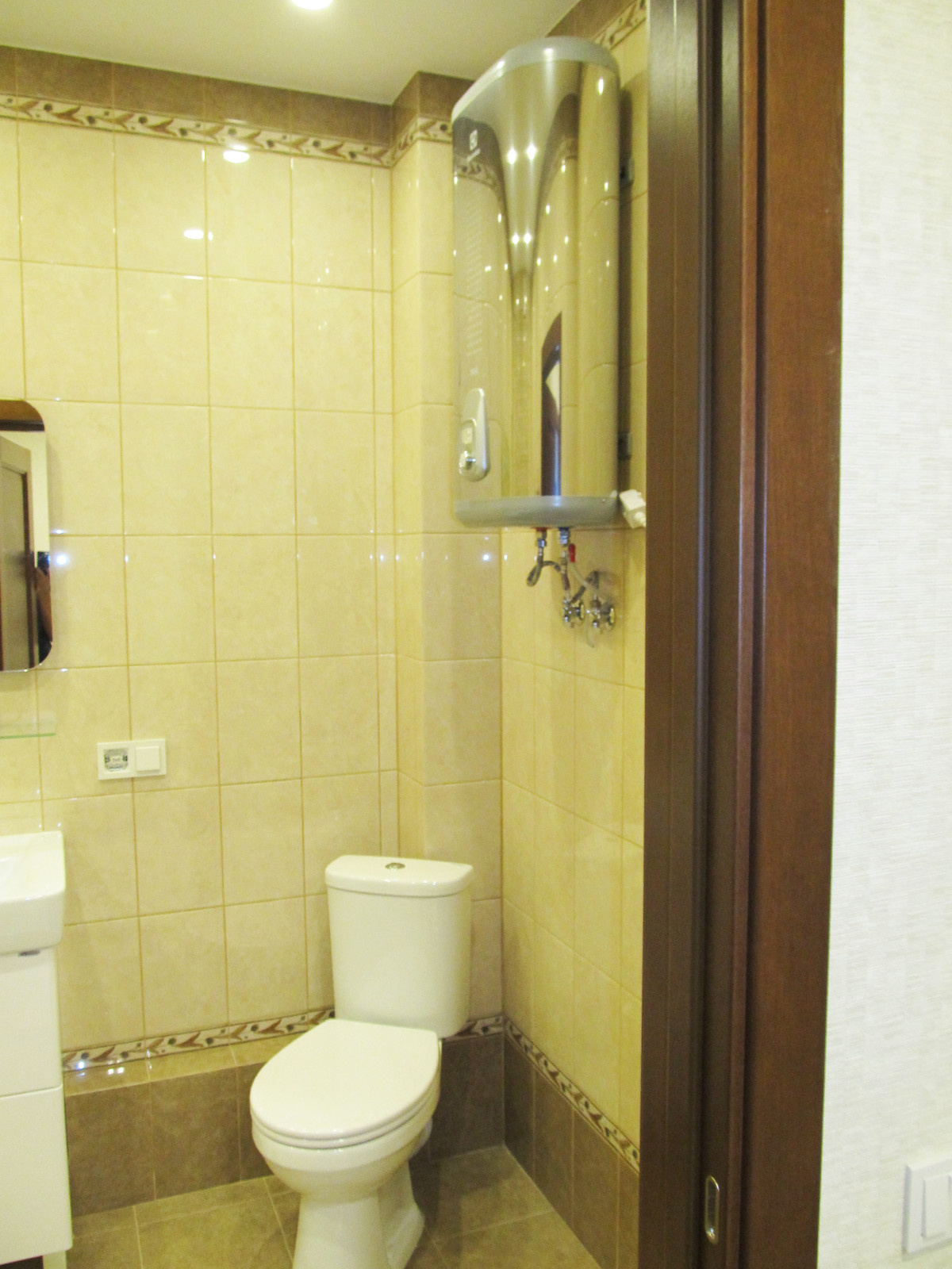 Стрижи на Снегирях