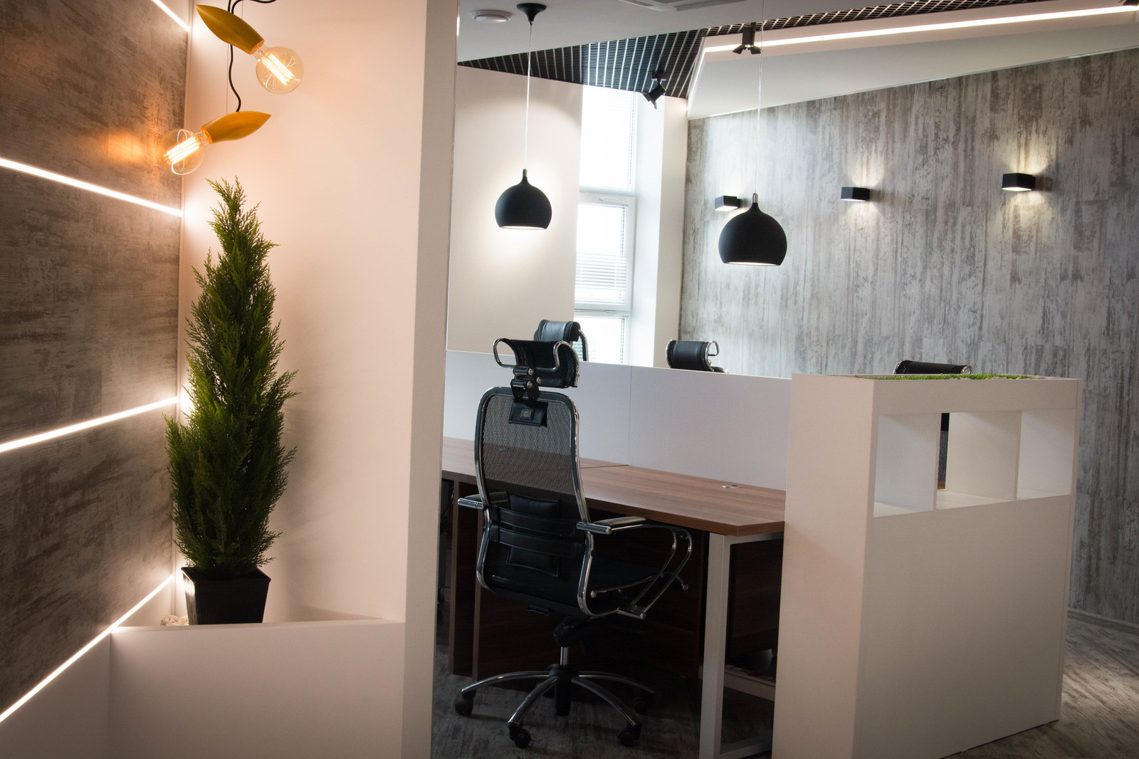 Офис компании "Тортуга"(один из ведущих разработчиков игр для социальных сетей)