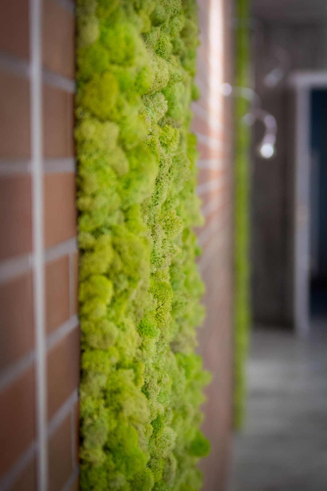 Офис компании "Тортуга"(один из ведущих разработчиков игр для социальных сетей)