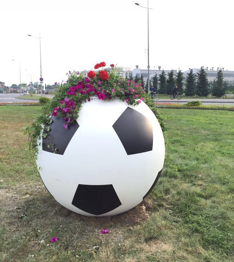 Кубок конфедераций 2017 г., Чемпионат мира по футболу 2018г.