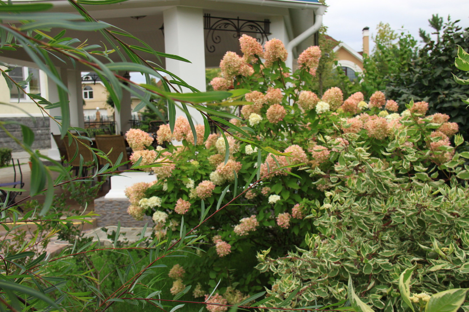 Коттеждный сад. Игры с цветом.