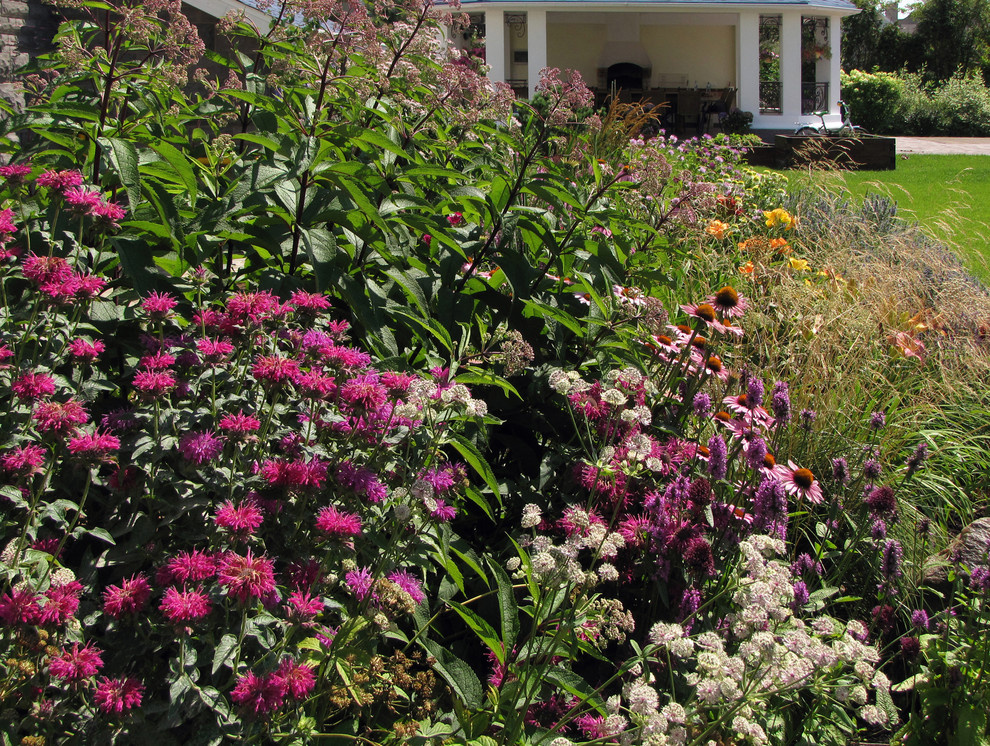 Коттеждный сад. Игры с цветом.