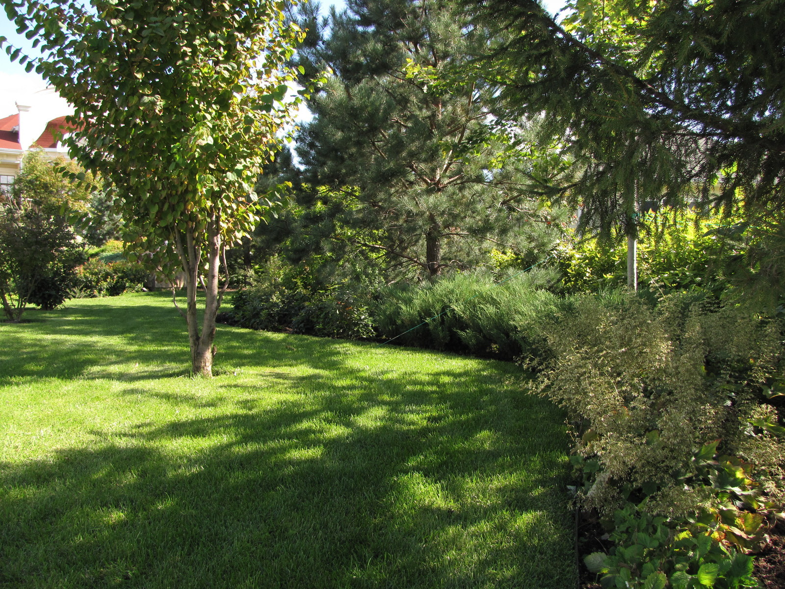 Коттеждный сад. Игры с цветом.