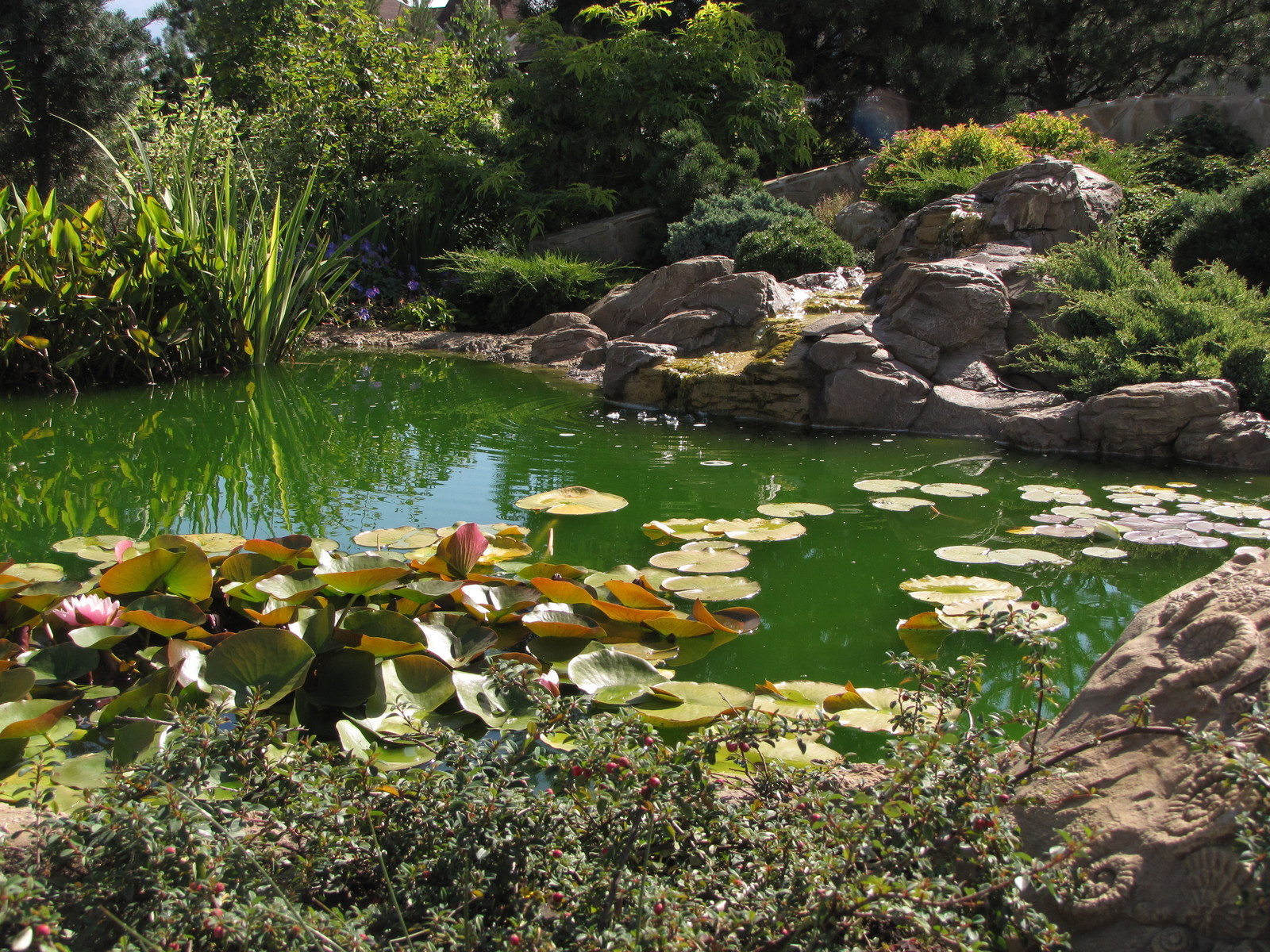 Коттеждный сад. Игры с цветом.