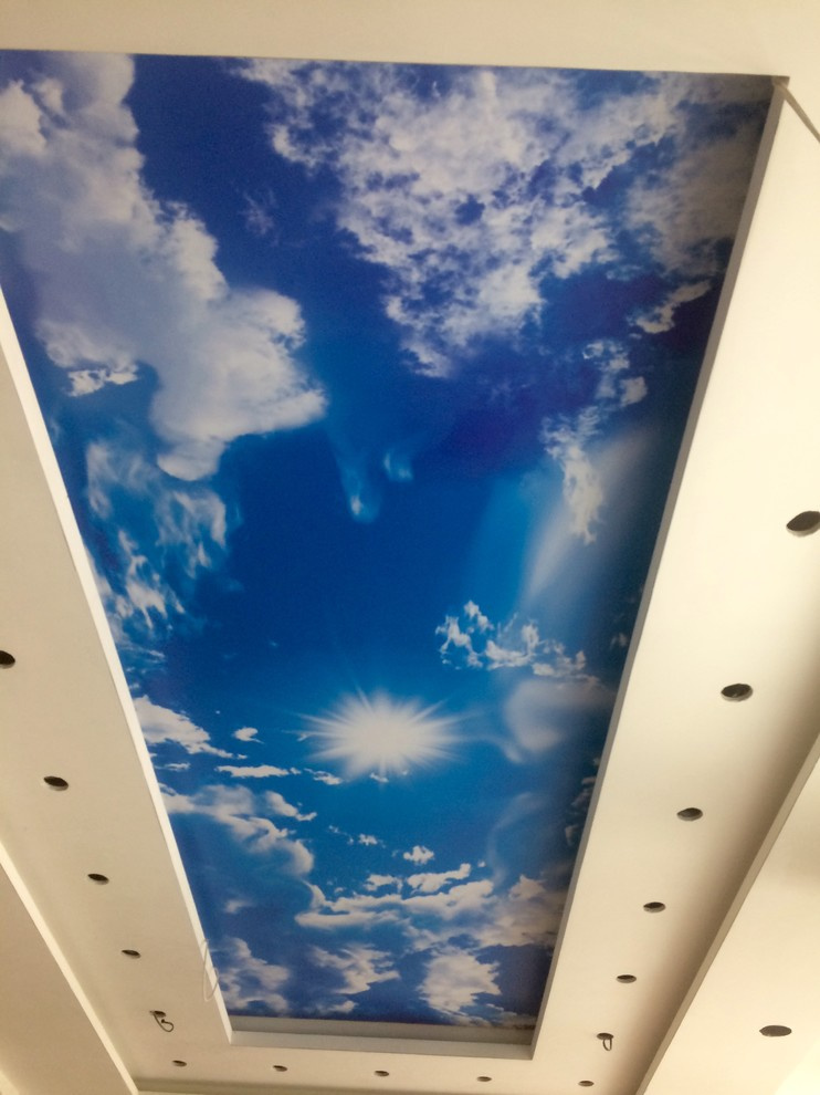 Обложка проекта: Потолки с фотопечатью от компании Яника