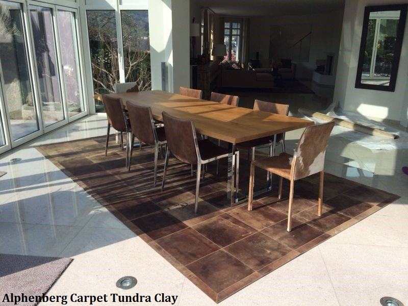 Alphenberg Carpet Tundra Clay 2