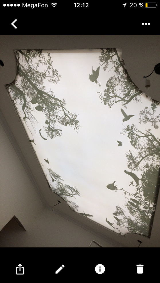 Работы со светопрозрачными потолками Cerutti ST