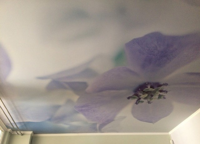 Работы со светопрозрачными потолками Cerutti ST