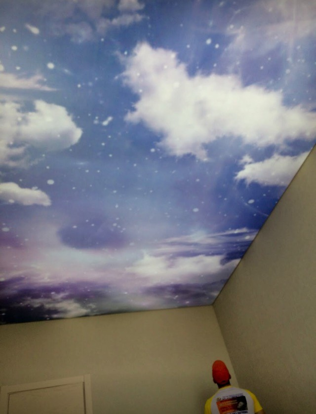 Обложка проекта: Работы со светопрозрачными потолками Cerutti ST