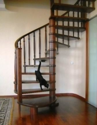 винтовые лестницы