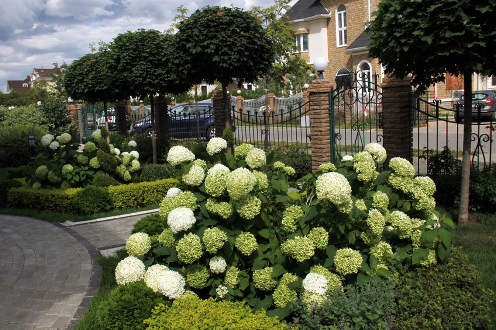 Коттеждный сад. Игры с цветом.