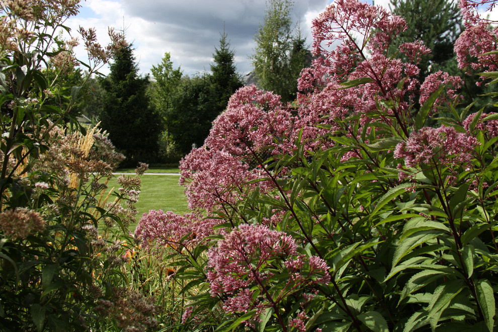 Коттеждный сад. Игры с цветом.