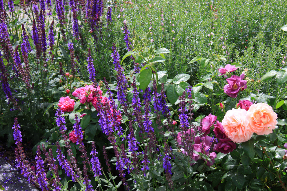 Коттеждный сад. Игры с цветом.