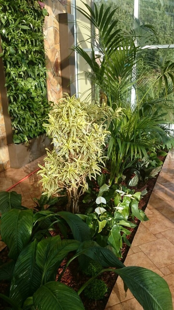 Зимний сад. Калининец