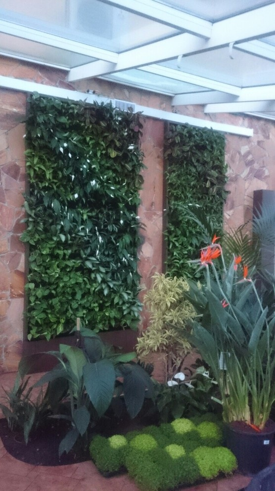 Зимний сад. Калининец