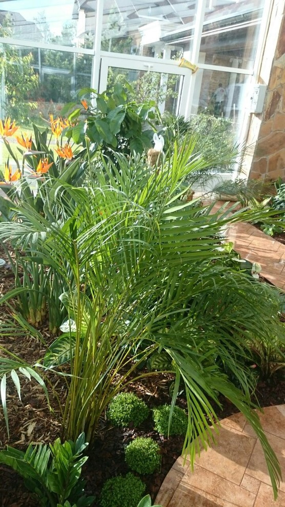 Зимний сад. Калининец