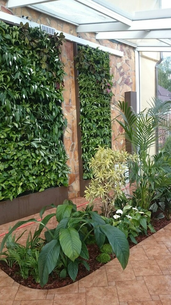 Зимний сад. Калининец