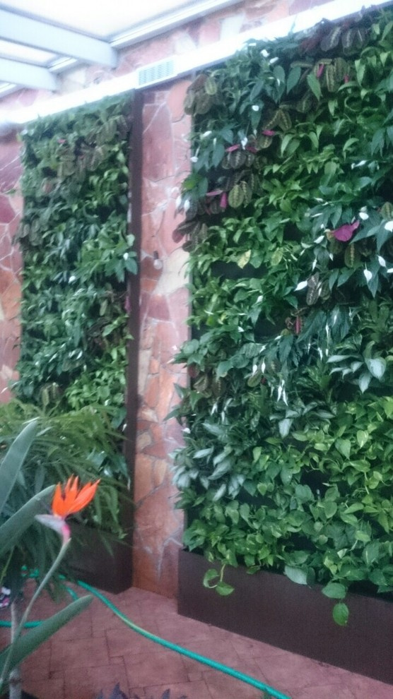 Зимний сад. Калининец