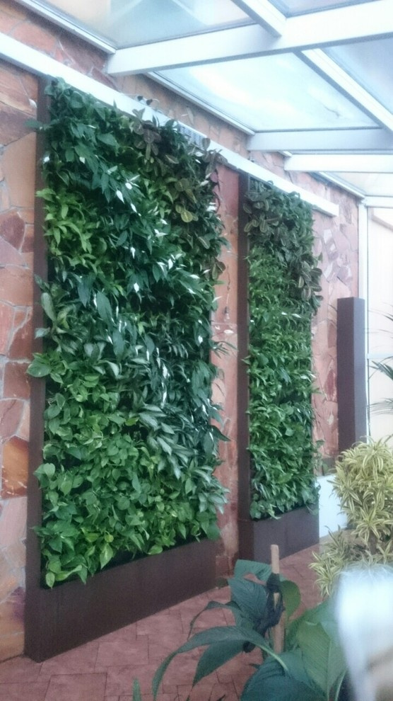 Зимний сад. Калининец