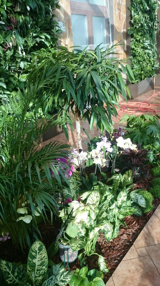 Зимний сад. Калининец