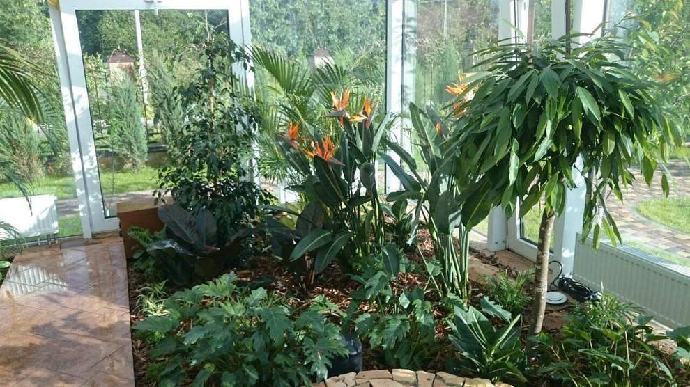 Зимний сад. Калининец